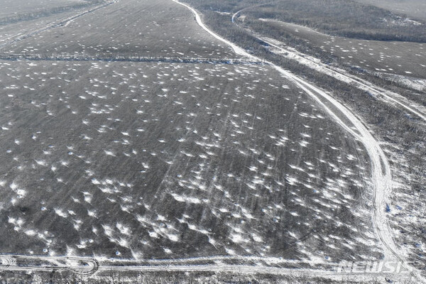 바흐무트 들판의 수많은 포탄 구덩이[바흐무트=AP/뉴시스] 22일(현지시각) 우크라이나 도네츠크주 바흐무트 인근 전선 들판의 수많은 포탄 구덩이에 내렸던 눈이 남아 있다.. (출처: 뉴시스)