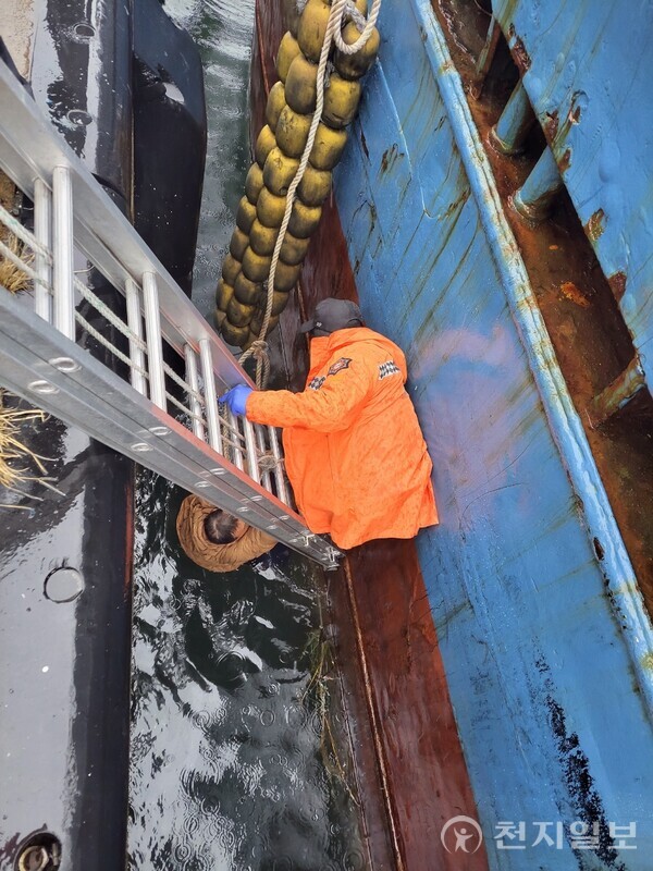 전남 여수소방서가 14일 봉산동 냉동공장 앞 바다에 빠진 구조대상자를 사다리를 이용해 구조하고 있다. (제공: 여수소방서) ⓒ천지일보 2023.12.14.