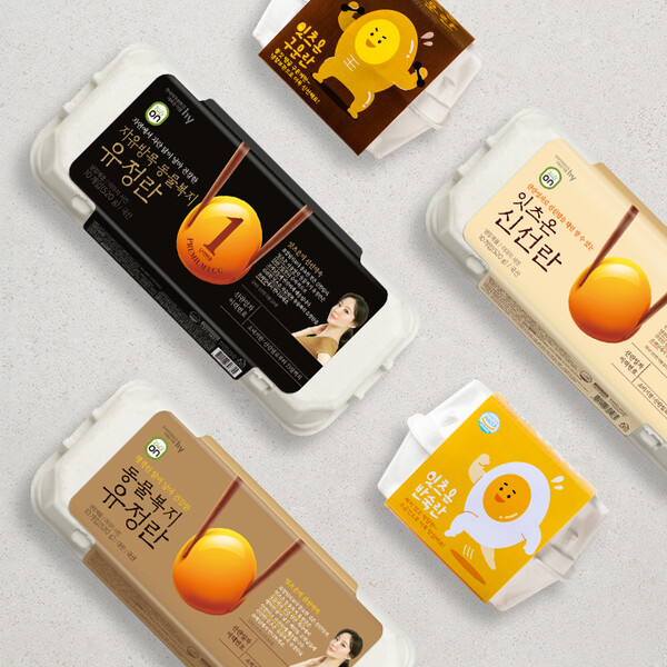 hy, ‘잇츠온 신선란’ 연평균 50% 신장 ‘정기구독 중심 고객 확대 주효’. (제공: hy) ⓒ천지일보 2023.12.26.