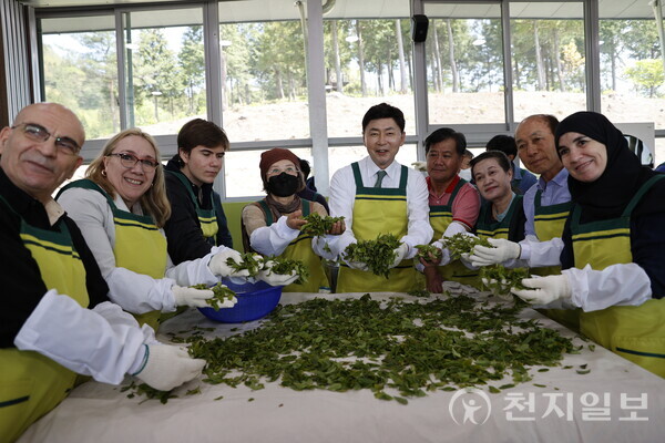 김철우 보성군수(왼쪽 다섯 번쨰)와 외국인 관광객들이 차만들기 체험을 하고 있다. (제공: 보성군) ⓒ천지일보 2023.12.31.