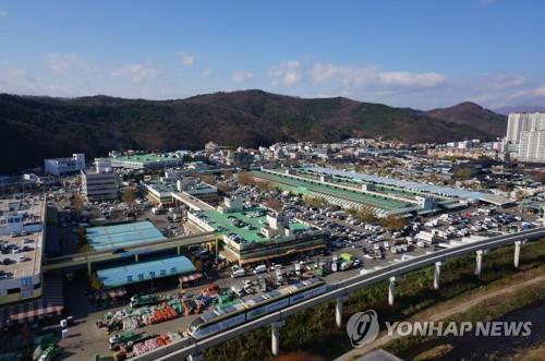 대구 북구 매천동 농수산물도매시장. (출처: 연합뉴스)
