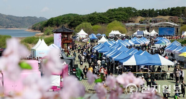 대전 동구 대청호 벚꽃축제. (제공: 동구청) ⓒ천지일보 2024.01.05.