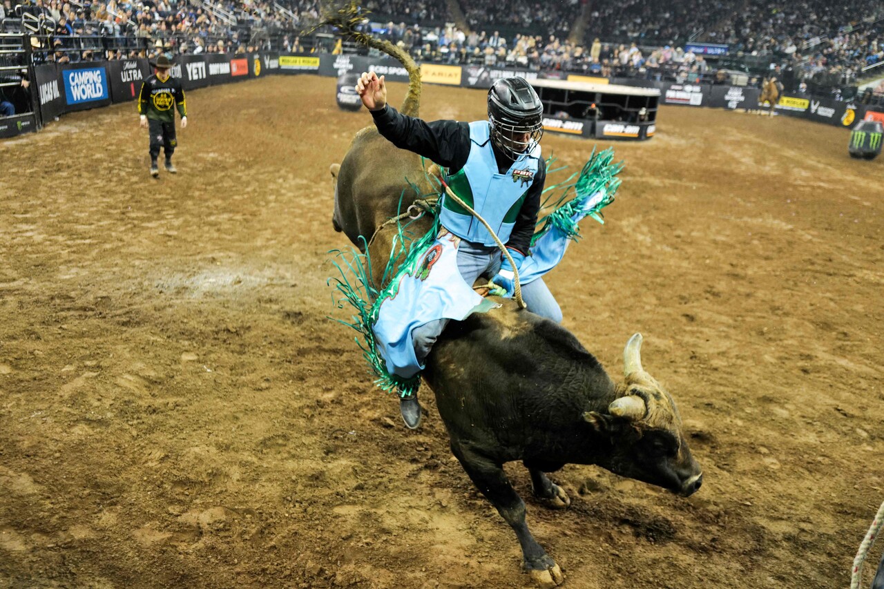 7일 미국 뉴욕 매디슨 스퀘어 가든에서 열린 ‘2024 PBR(Professional Bull Riders) 언리쉬드 더 비스트’에서 텍사스의 알렉스 세르케이라가 황소를 타고 있다. PBR은 불 라이더는 물론 황소들도 선수로 간주하고 각 선수에게 점수를 매긴다. (출처: 연합뉴스, AFP)