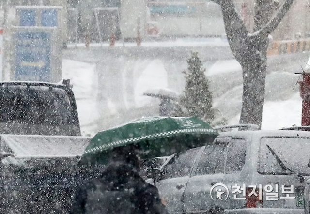 대설특보가 내려진 24일 서울 도심에 거센 눈발이 날리고 있다. ⓒ천지일보 2018.11.24