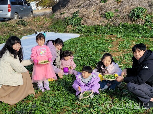 청자축제장에서 봄나물을 캐고 있는 가족. (제공: 강진군청) ⓒ천지일보 2024.02.21.