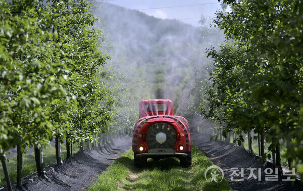 사과 농가 방제 모습. (제공: 장수군) ⓒ천지일보 2024.02.27.