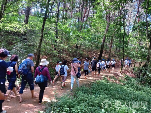 지난 해 원주맨발걷기축제 참가자들이 맨발로 숲속길을 걸어가고 있다. (원주시청 제공) ⓒ천지일보 2024.02.28.