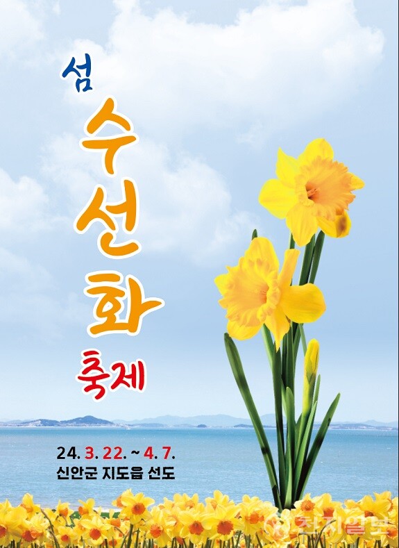 신안군 지도읍 선도리 일원에서 오는 22일부터 4월 7일까지 ‘2024 섬 수선화 축제’가 화려하게 펼쳐진다. (제공: 신안군청) ⓒ천지일보 2024.03.06.