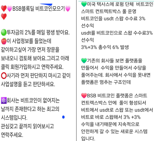 BSB비트코인 보상 플랜 홍보 문구. (캡처: 네이버 카페 백두산)ⓒ천지일보 2024.03.28.