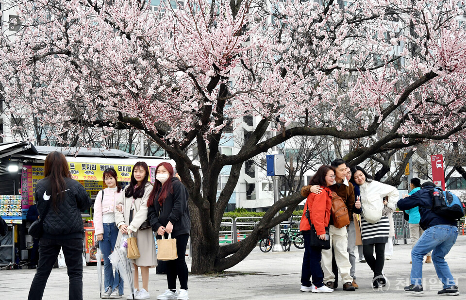 [천지일보=박준성 기자] 여의도봄꽃축제 개막을 하루 앞둔 28일 오후 서울 영등포구 여의서로에서 시민들과 외국인 관광객들이 꽃망울이 맺힌 벚꽃 길을 거닐며 기념촬영을 하고 있다. 2024 영등포 여의도 봄꽃축제는 29일부터 4월 2일까지 국회 뒷편 여의서로 일대에서 열린다. ⓒ천지일보 2024.03.28.
