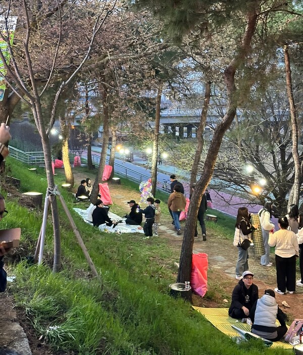 무심천 벚꽃 축제를 30일 찾은 시민들이 무심천 피크닉존에 앉아 음식을 즐기고 있다. (청주시청 제공)