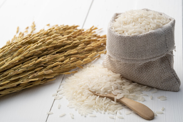 세종은 가난한 농민들의 부담을 줄이고, 관리와 토호 양반들의 부정부패를 막을 수 있는 과세법을 고민하게 됐고, 그 고민의 결과로 탄생한 것이 ‘공법’이다. (출처: 게티이미지뱅크) ⓒ천지일보 2024.04.16.