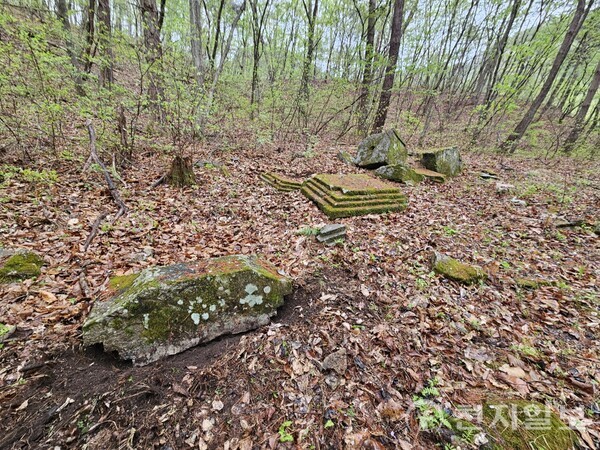 고려 석탑 부재가 뒹굴고 있는 홍천군 동면 신봉리 절터 유적 ⓒ천지일보 2024.04.26.