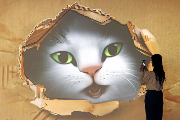 국립민속박물관 특별전 '요물, 우리를 홀린 고양이' (출처: 뉴시스)