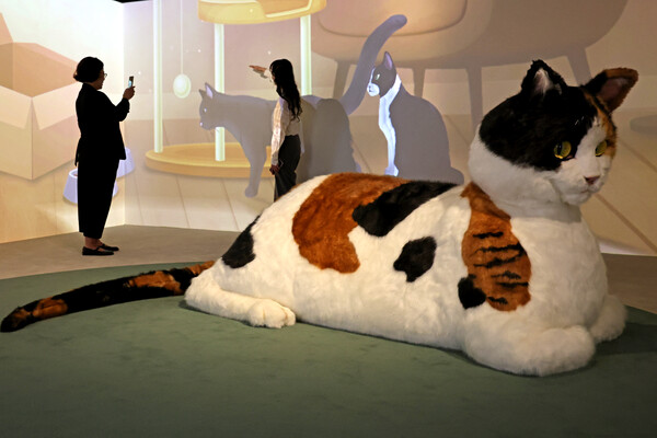 1부 전시에서는 옛 그림과 문헌, 신문자료 속에 나타나는 귀엽고 요망한 고양이들의 모습과 그런 고양이에게 홀려 울고 웃었던 사람들의 기록을 담았다. (출처: 뉴시스)