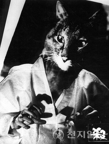 이용민 감독의 영화 '살인마(1961)' (제공: 국립민속박물관) ⓒ천지일보 2024.05.13.