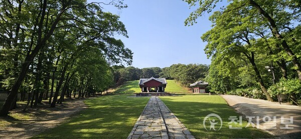 인릉은 순조와 순원왕후의 합장릉이다. 헌인릉의 입구에 들어서면 인릉이 자리한다. (제공: 이의준 왕릉답사가) ⓒ천지일보 2024.06.18.