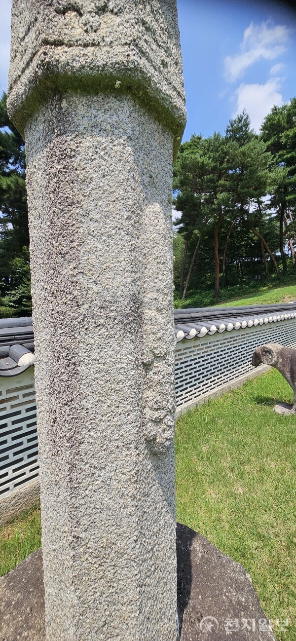‘망주석 세호’는 장식용의 작은 호랑이를 뜻한다. ‘국조상례보편’에는 “왼쪽은 올라가고 오른쪽은 내려오는 모양을 새긴다”고 기록돼 있다. (제공: 이의준 왕릉답사가) ⓒ천지일보 2024.07.29.