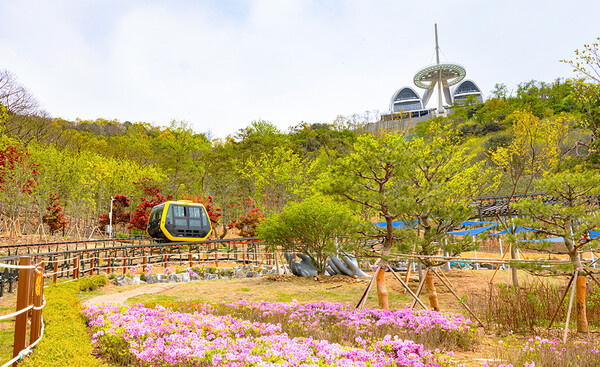 강화 화개산 모노레일(화개정원 홈페이지)ⓒ천지일보 2024.08.10.