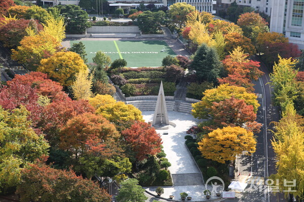 서강대학교 전경. (출처: 서강대학교 측)