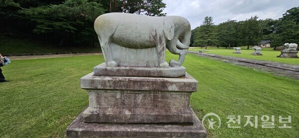 석물 코끼리상이다. 홍릉은 능침공간의 동물석상을 모두 홍살문에서 침전에 이르는 공간에 내려 설치했다. (제공: 이의준 왕릉답사가) ⓒ천지일보 2024.08.28.
