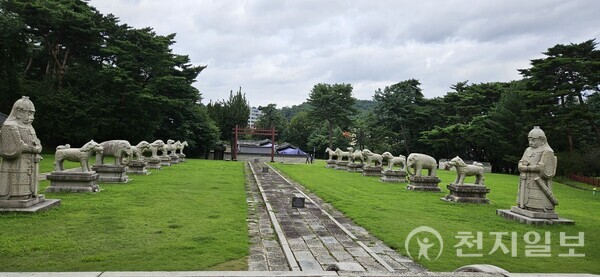 홍살문에 들어서면 향어로의 좌우로 석물이 도열하고 있다. 석마 2쌍과 낙타석, 해치석, 사자석, 코끼리석, 기린석, 무석인, 문석인이 배치돼 있다. (제공: 이의준 왕릉답사가) ⓒ천지일보 2024.09.08.