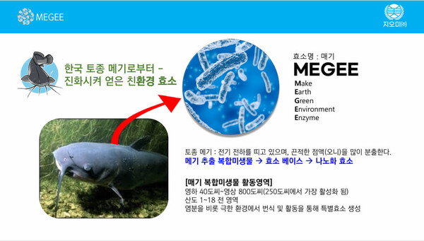 ​워너비그룹의 신사업 보상계획. (제공: 제보자) ⓒ천지일보 2024.10.17.워너비그룹의 신사업 아이템인 메기 효소. (제공: 제보자)ⓒ천지일보 2024.10.17.