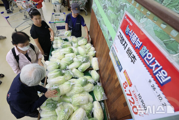 [서울=뉴시스] 29일 서울 서초구 하나로마트 양재점에서 시민들이 배추를 고르고 있다. 농협경제지주는 최근 수급불안으로 인한 배추가격 급등에 대응해 다음 달 2일까지 전국 주요 하나로마트에서 자체 재원과 정부할인쿠폰을 활용, 배추를 최대 37% 할인 판매한다.