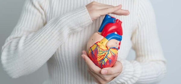 (출처: 게티이미지뱅크)