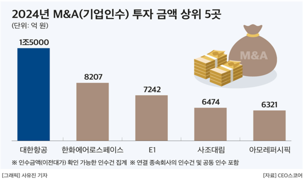 2024년 M&A 투자 금액 상위 5곳. (제공: CEO스코어) ⓒ천지일보 2024.12.18.