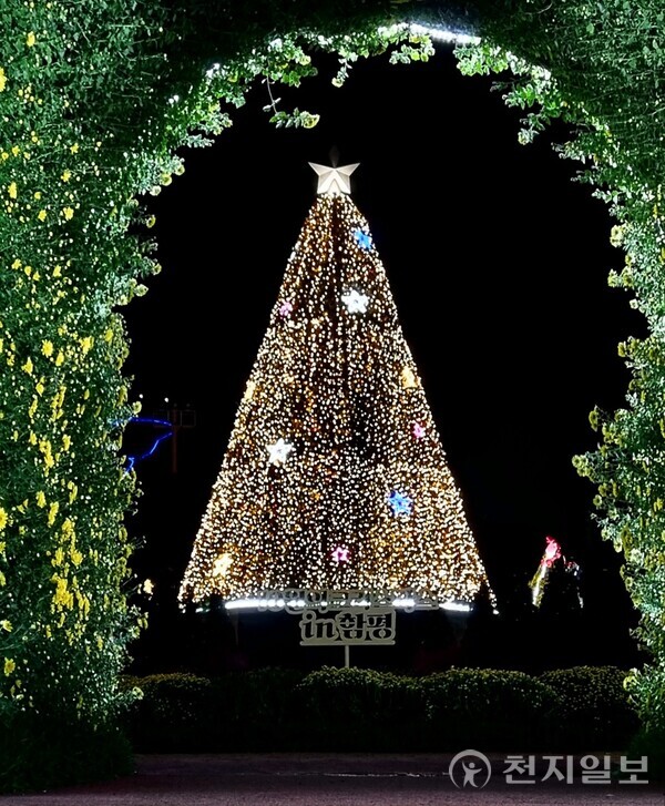대형 크리스마스 트리. (제공: 함평군청) ⓒ천지일보 2024.11.19.