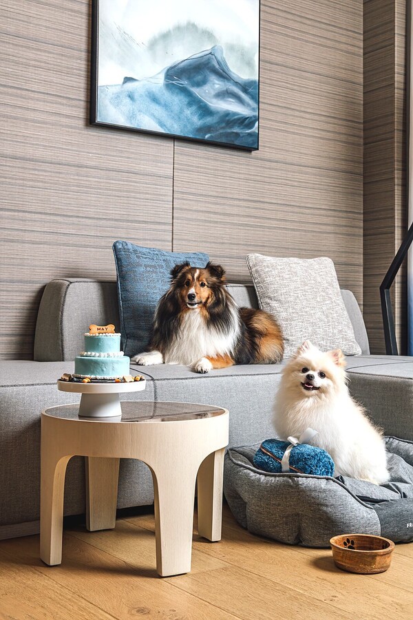 시그니엘 부산의 반려동물 동반 가능 객실 모습. (제공: 시그니엘 부산)