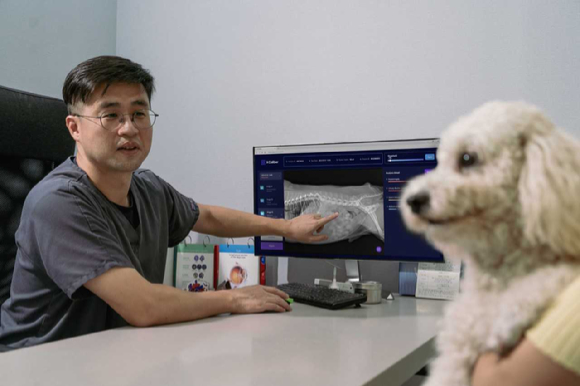 서울 소재 동물병원에서 수의사가 SK텔레콤의 AI기반 수의영상진단 보조서비스 ‘엑스칼리버’를 활용해 강아지의 엑스레이 사진을 판독하며 진료하고 있다. (제공: SKT)