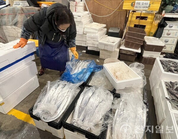 [천지일보=김민희 기자] 노량진수산시장 19번 중매인 허정희(80, 여)씨가 제주산 은갈치를 진열하고 있다. ⓒ천지일보 2025.01.01.