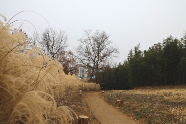 해미읍성 산책로(제공=트래블아이)ⓒ천지일보 2025.01.17.