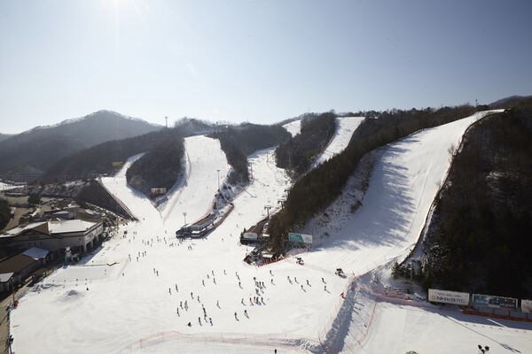 엘리시안 강촌 스키장 풍경(제공=엘리시안 강촌)ⓒ천지일보 2025.01.20.