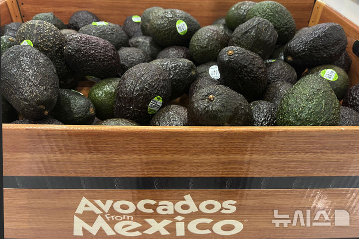멕시코산 아보카도가 2025년 1월 31일 뉴욕 화이트 플레인스의 타겟 매장에 판매용으로 진열돼 있다. (출처: 뉴시스)