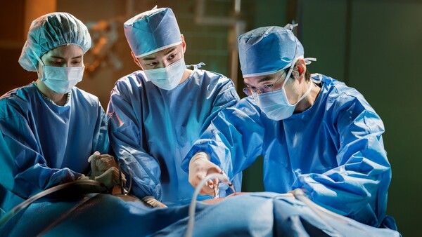 낭만닥터 김사부. (제공: 넷플릭스)