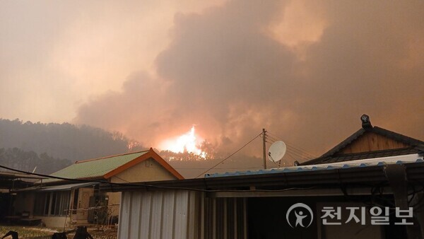 [천지일보 안동=장덕수 기자] 경북 의성군 산불 발생 나흘째인 25일 안동으로 번진 산불이 안동시 일직면 운산리 관사길83 뒷산에 보이고 있다. (독자제공) ⓒ천지일보 2025.03.25.