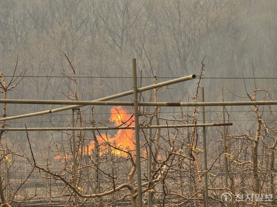 [천지일보 안동=장덕수 기자] 경북 의성에서 시작된 산불이 인접 지역으로 확산한 가운데 25일 오후 경북 안동시 길안면 백자리 일대 야산에서 불길이 치솟고 있다. ⓒ천지일보 2025.03.25.