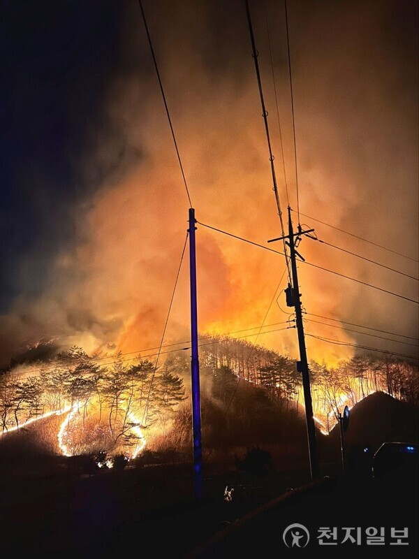[천지일보 봉화=장덕수 기자] 경북 의성군 산불 발생 나흘째인 25일 봉화로 번진 산불이 경북 봉화군 물야면 인근 야산을 태우고 있다. (독자제공) ⓒ천지일보 2025.03.25.