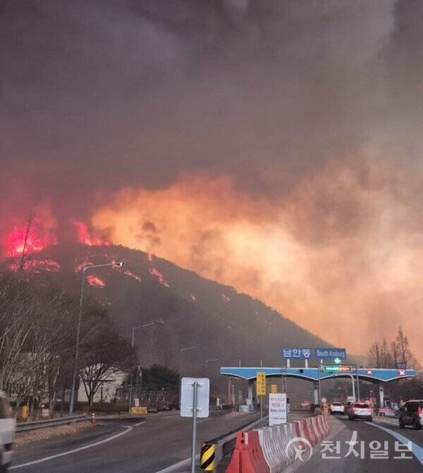 [천지일보 안동=장덕수 기자] 경북 의성군 산불 발생 나흘째인 25일 안동으로 번진 산불이 경북 안동시 일직면 남안동 IC 인근에서 산을 불태우고 있다. ⓒ천지일보 2025.03.25.