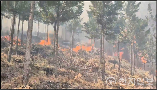 지난 25일 울산 울주군 언양읍에서 난 산불. (제공: 울산소방본부) ⓒ천지일보 2025.03.26.