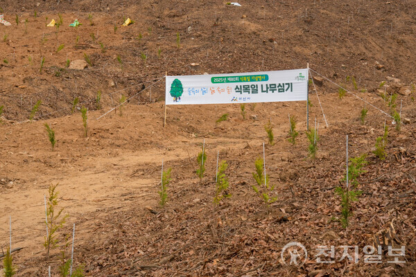 아산시와 아산시의회, 지역 주민들이 제80회 식목일을 맞아 심은 편백나무. (제공: 아산시의회) ⓒ천지일보 2025.03.26.
