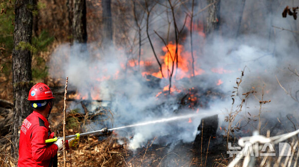 경북 의성군 산불 발생 나흘째인 25일 안평면 기도리 한 야산에서 산불전문예방진화대원들 불을 끄고 있다. (출처: 뉴시스) 2025.03.25.