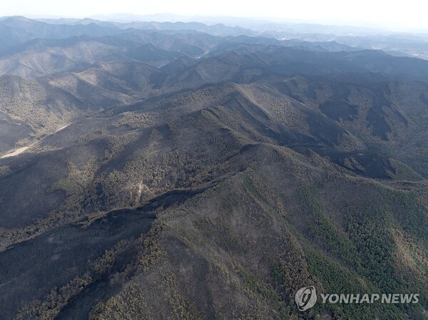 30일 주불 진화가 완료된 경북 안동시 남후면의 산들이 까맣게 타 있다. (출처: 연합뉴스) 2025.3.30