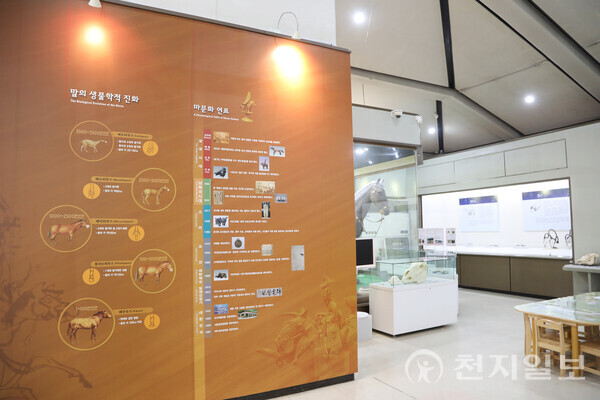 [천지일보=백은영 기자] 박물관 입구에 대형으로 제작된 말의 생물학적 진화과정과 마문화 연표. ⓒ천지일보 2025.05.02.