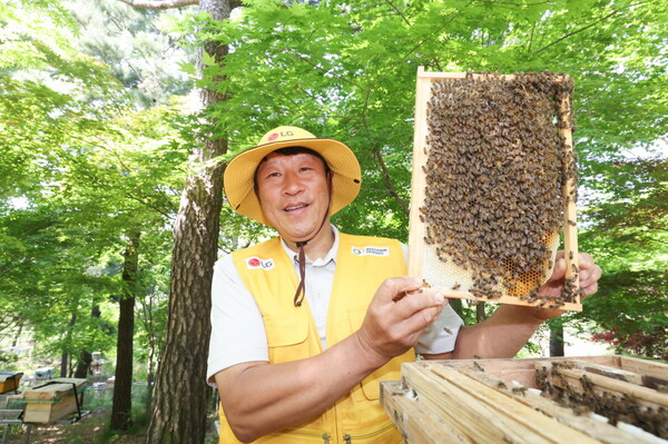 LG가 조성한 토종 꿀벌 서식지에서 김대립 명인이 꿀벌통을 들어 보이고 있다. (제공: LG) ⓒ천지일보 2025.05.19.