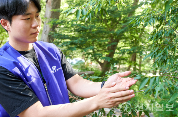 효성그룹 임직원이 인공증식에 성공한 비단벌레를 자연에 방사하고 있다. (제공: 효성) ⓒ천지일보 2025.06.23.