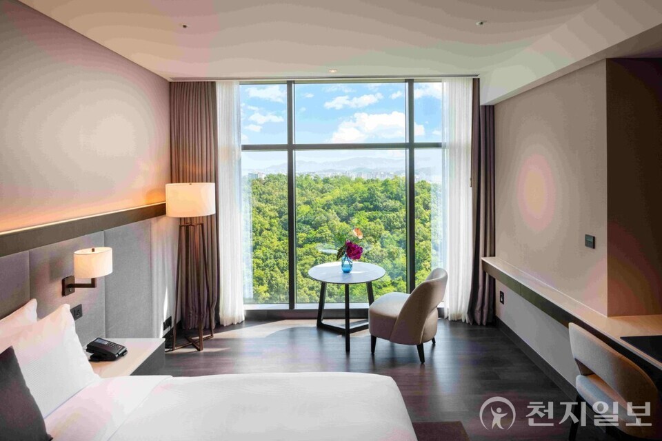 킹 디럭스 호텔 객실과 실내 수영장. (제공: 더블트리 바이 힐튼 서울 판교) ⓒ천지일보 2025.07.18.